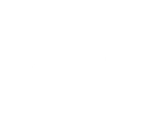 Logo Vinci